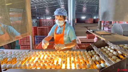 網眼看欽州|誠信食品企業開放日，“零距離”感受放心食品