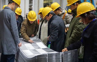 技術(shù)賦能產(chǎn)業(yè)升級(jí) 中石化上海工程醫(yī)藥食品專家團(tuán)蒞臨艾克森工廠開展技術(shù)咨詢交流